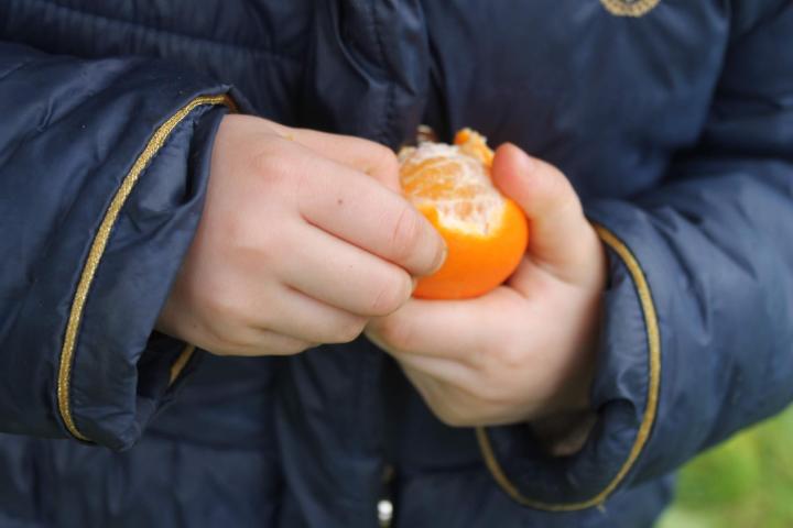 kid eats orange
