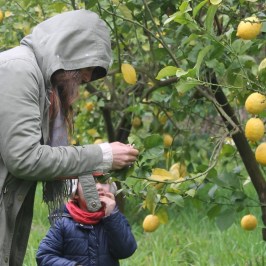 picking up Orange in Aveiro