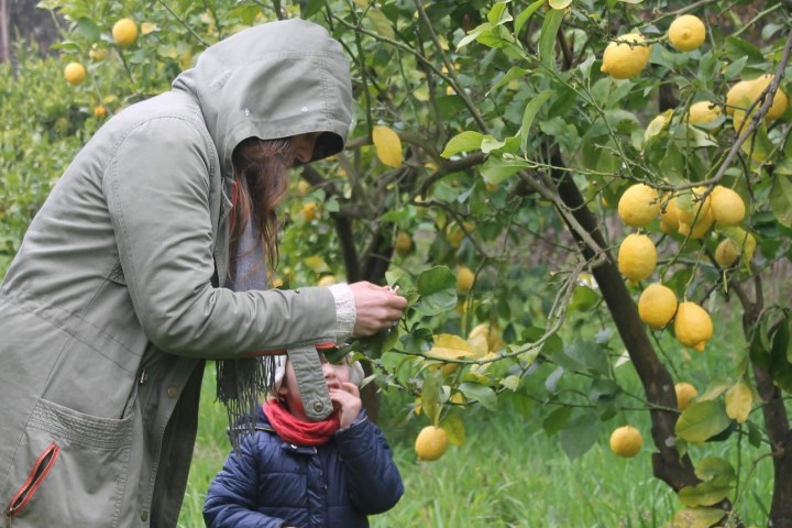 picking up Orange in Aveiro