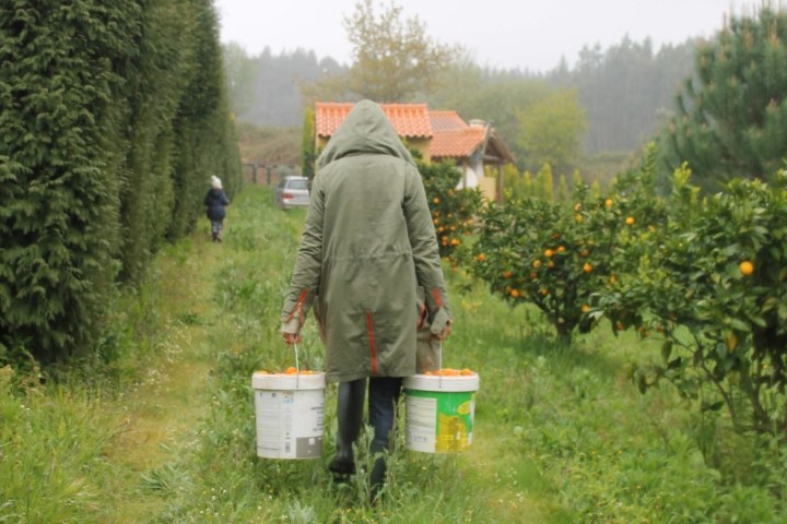picking up Orange in Aveiro