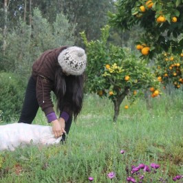 picking up Orange in Aveiro