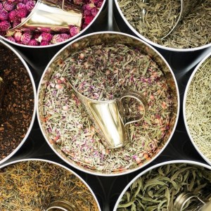 Aromatic Herbs tour in porto