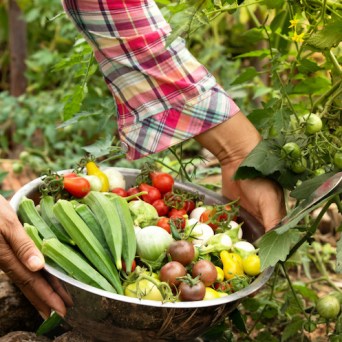 Lisbon tours in an organic farm