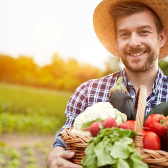 Organic Fruit farm tour