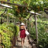 Madeira tours