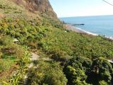 madeira tours