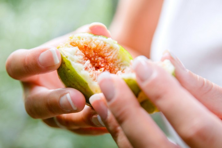 figs