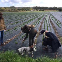 Organic Herbs Farm Experience