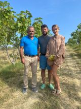 Fig farm experience