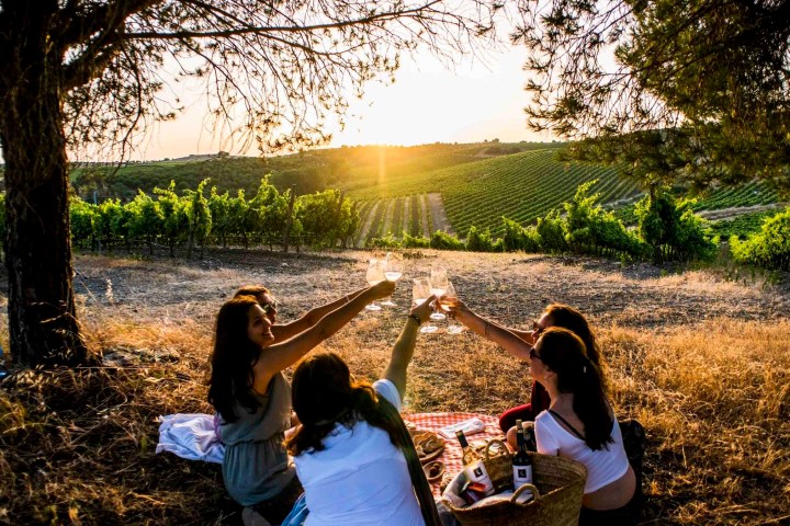 Picnic at the Vineyard