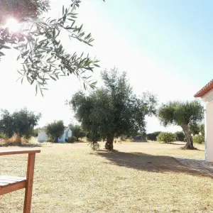 olive oil farm tour in évora