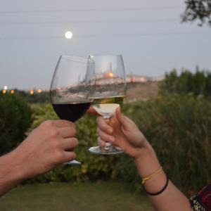 wine tasting tour algarve