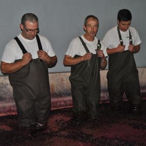 enjoying a wine tasting tour