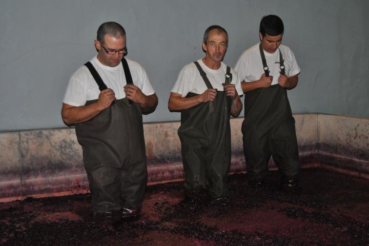 enjoying a wine tasting tour