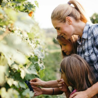 enjoying a tour in a vineyard