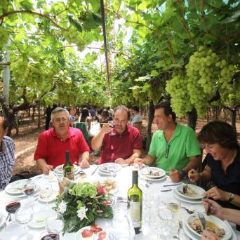 enjoying a tour in a vineyard