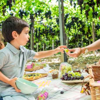 Enjoying a tour in a vineyard