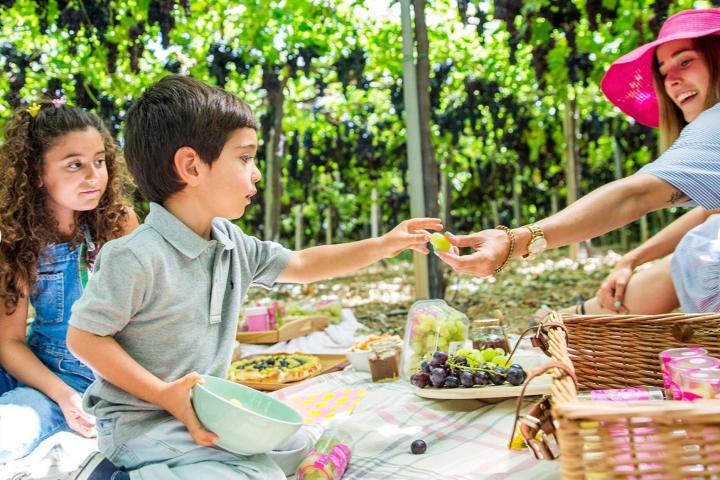 Enjoying a tour in a vineyard