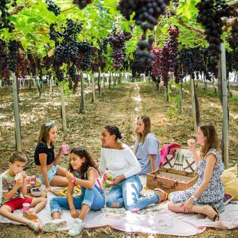 enjoying a tour in a vineyard