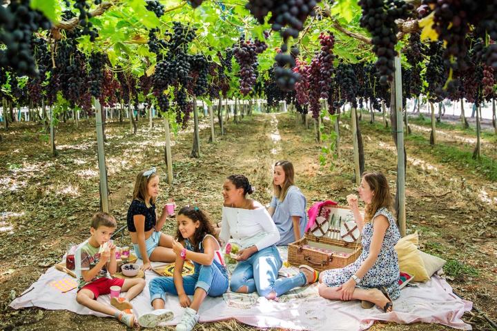 enjoying a tour in a vineyard