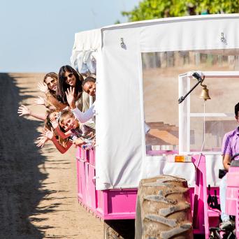 Enjoying a tour in a vineyard