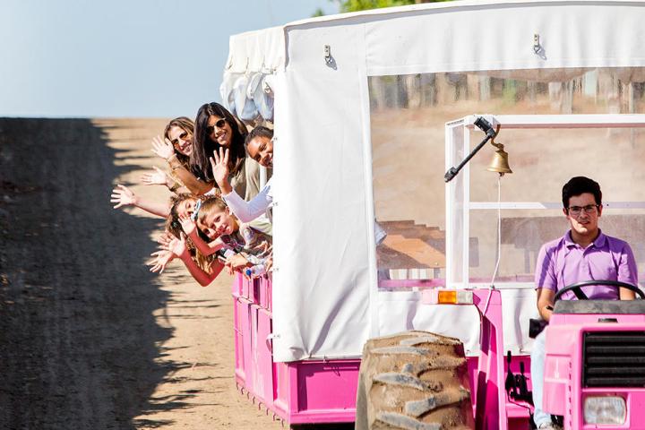 Enjoying a tour in a vineyard