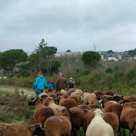Cheese Tour Portugal