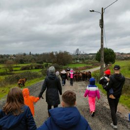 Cheese Tour Portugal