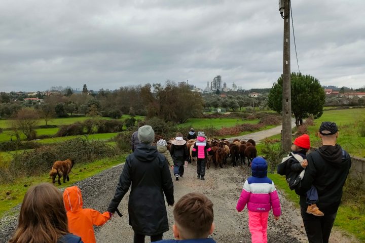 Cheese Tour Portugal