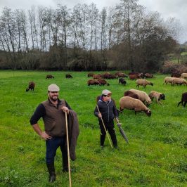 Cheese Tour Portugal
