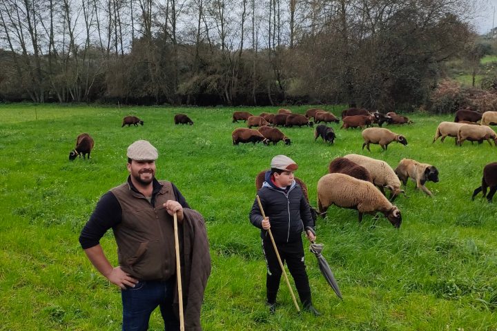 Cheese Tour Portugal