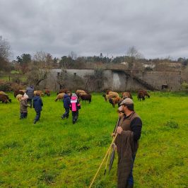 Cheese Tour Portugal