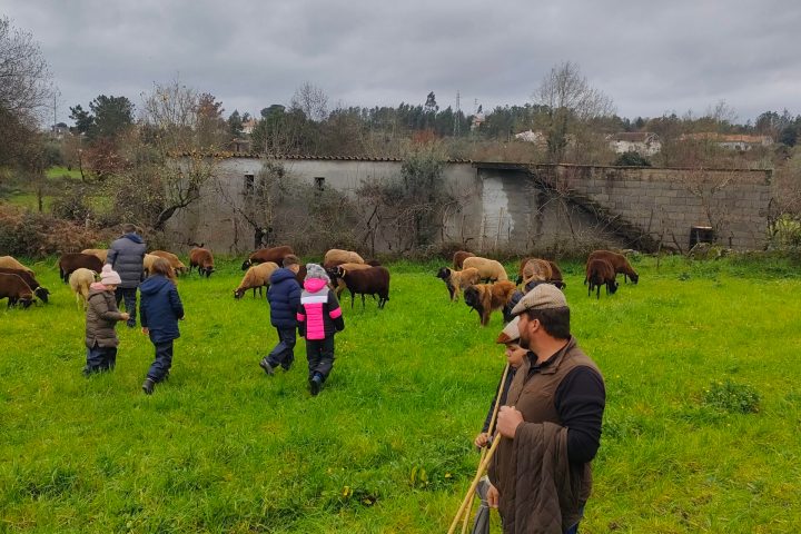 Cheese Tour Portugal