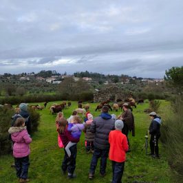 Cheese Tour Portugal