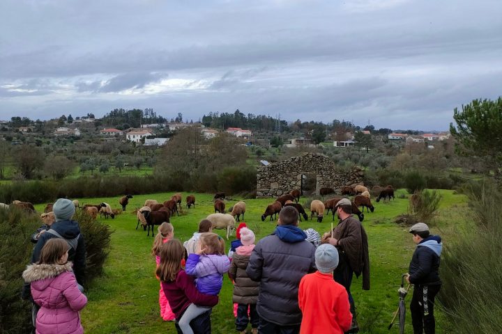Cheese Tour Portugal