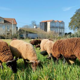 Cheese Tour Portugal