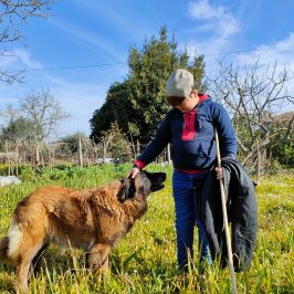 Cheese Tour Portugal