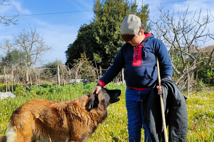 Cheese Tour Portugal