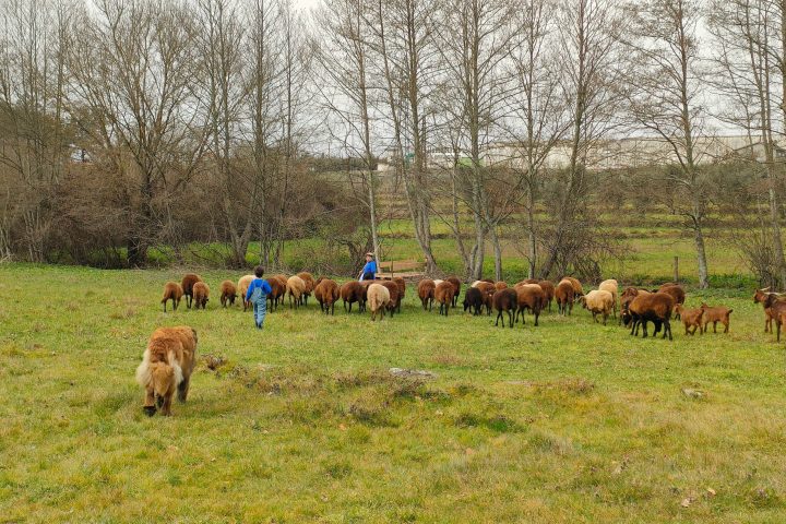 Cheese Tour Portugal