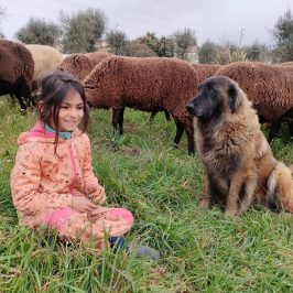 Cheese Tour Portugal