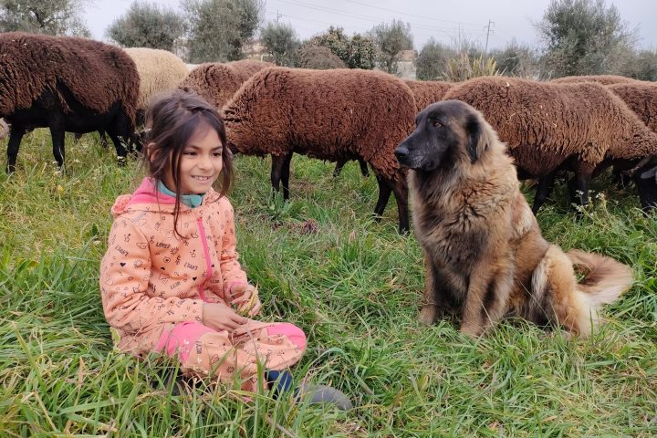 Cheese Tour Portugal