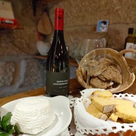 Cheese Tour Portugal