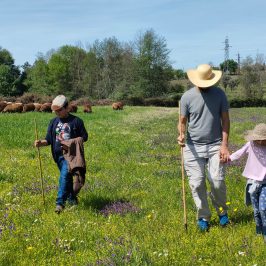 Cheese Tour Portugal