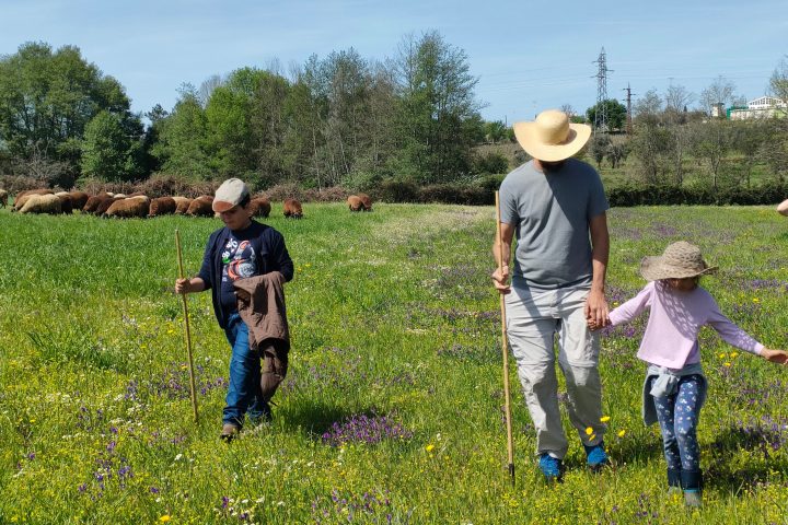 Cheese Tour Portugal