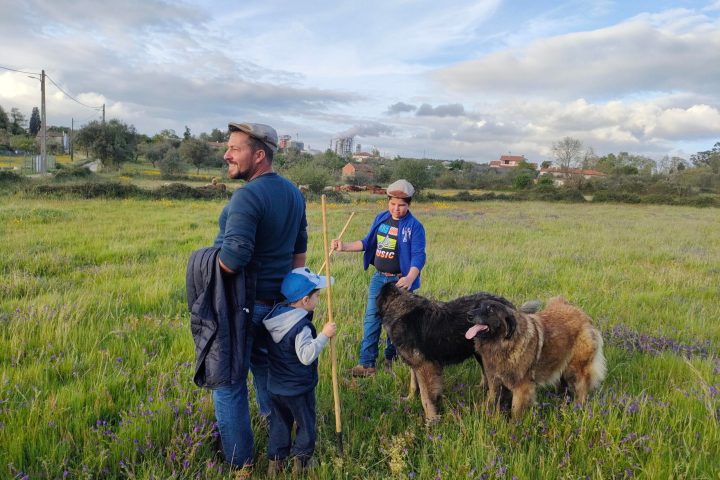 Cheese Tour Portugal