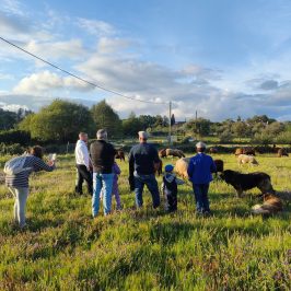 Cheese Tour Portugal