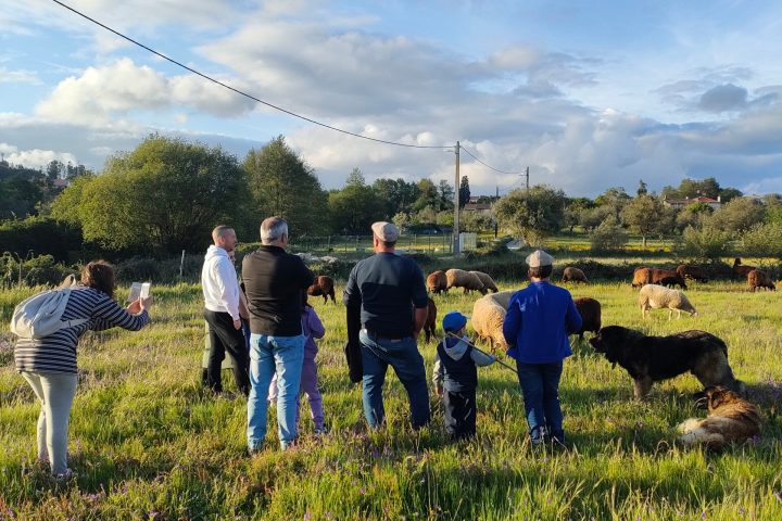 Cheese Tour Portugal