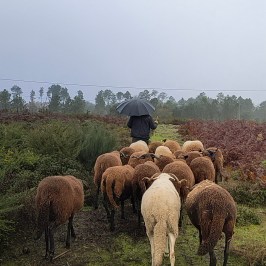 Cheese Tour Portugal