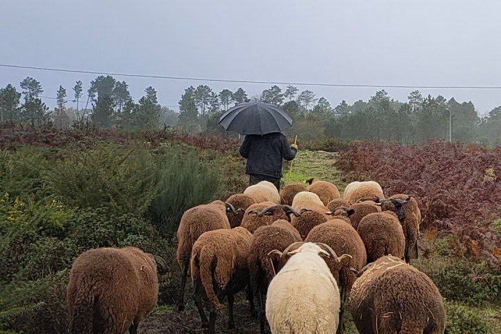 Cheese Tour Portugal