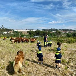 Cheese Tour Portugal